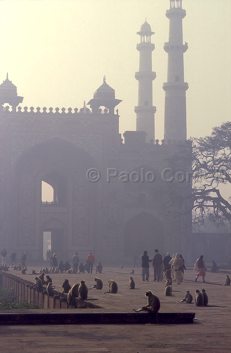 Akbar's Tomb, Agra, India
 (cod:India 44)